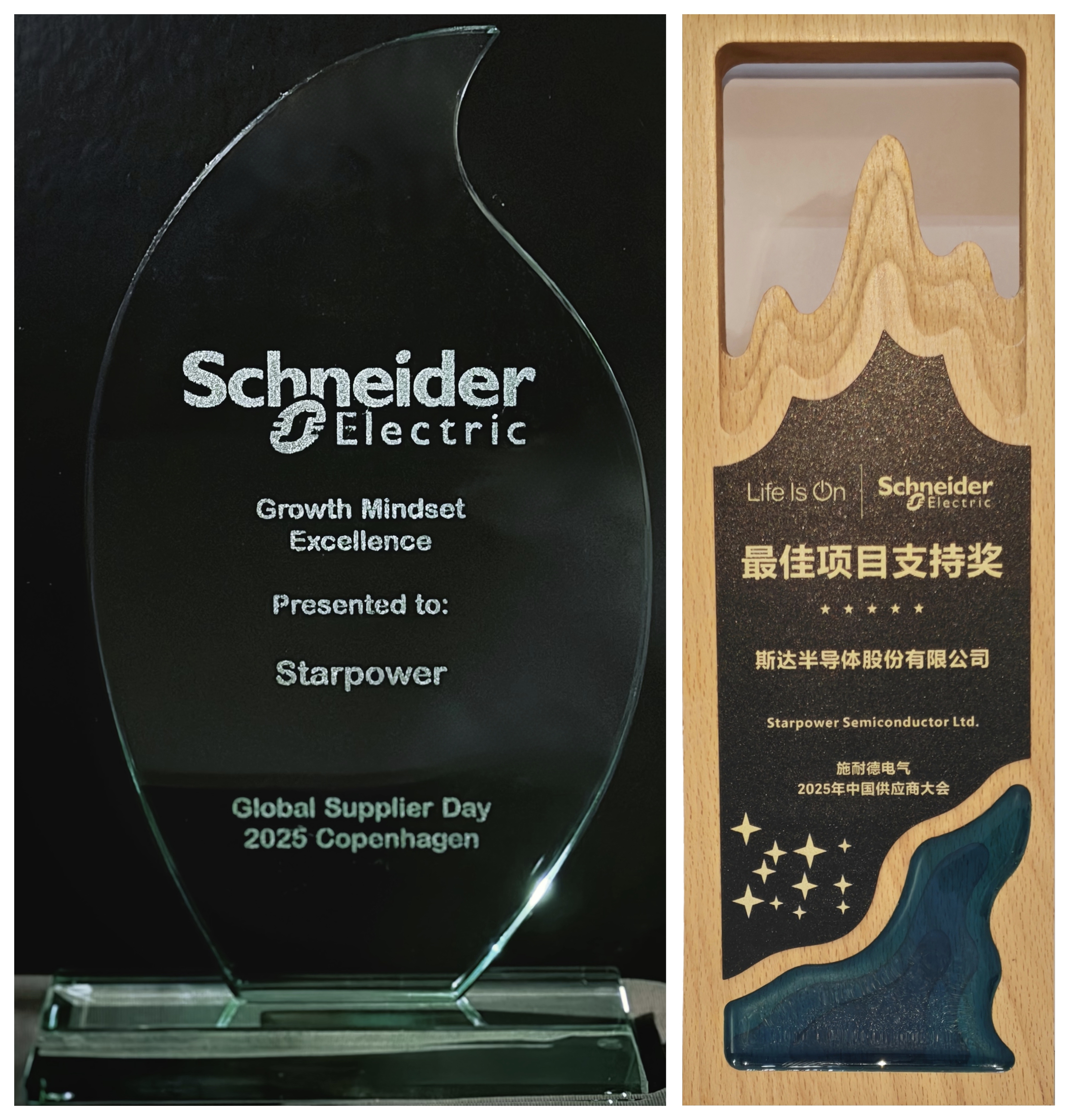 施耐德电气双奖.jpg 施耐德电气双奖.jpg